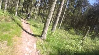 Ebeltoft Sdr Plantage MTB 150515