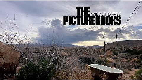 THE PICTUREBOOKS "Wild And Free"-Official Music Video