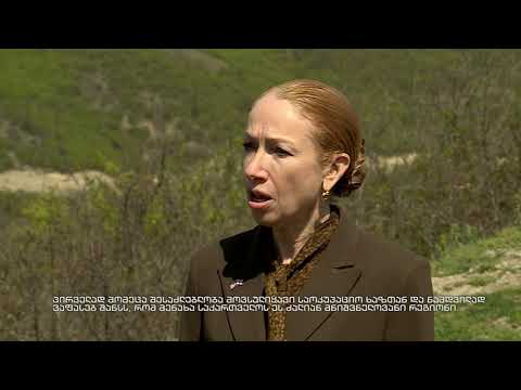 საქართველოში აშშ-ის ელჩი საოკუპაციო ხაზთან იმყოფებოდა