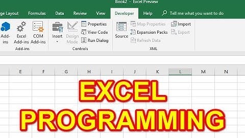 Cara Memunculkan Tab Developer dan Draw di Ms Excel 2019