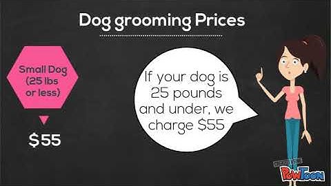 Piecewise Function - Real World Application