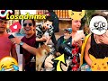 Los mejores y mas divertidoss de losadnmx tiktok recopilacion