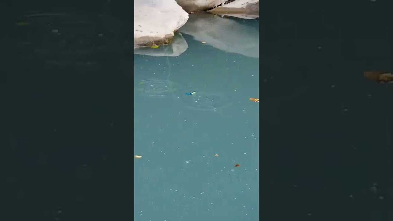 рыбалка в горной долине - YouTube