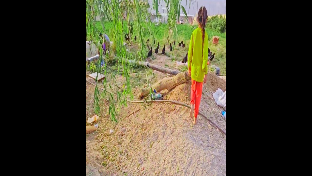 "Full Story – Marital Conflict: Husband’s Outburst Over the Second Wife’s Clothes"