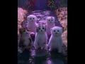 猫meme 怎么到处都有小猫在跳舞呀难得一见的萌宠