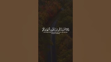 أجمل وأفضل حالات واتس اب دينيه 🖤 قرآن كريم بصوت القارئ : خالد الجليل || 🌘😴 ( مقاطع قرآن قصيرة )😴