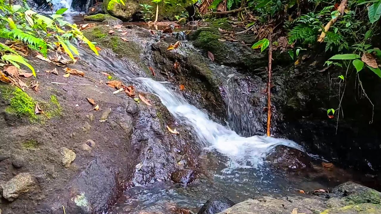 Water Flows Through Mossy Rocks – Clearstream and Nature Sound Ambience for Deep Sleep