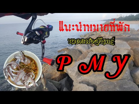 #ตกหมึกPMY#หาดแสงจันทร์EP1 #Top story