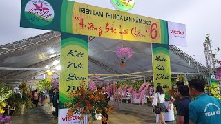 Những tác phẩm hoa lan đẹp nhất Triển lãm hoa lan Lai Châu 2023. Hội thi của các nghệ nhân trồng lan