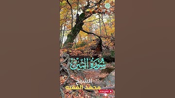 سورة التين الشيخ محمد الفقيه