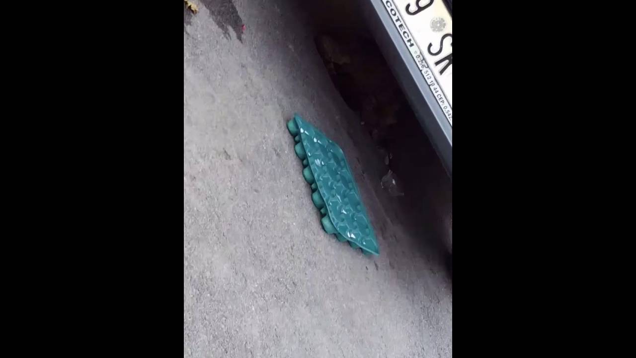 Yavrusun Yiyen Kedi (Allah kimseyi yavrusunu bile yiyecek kadar aclıkla