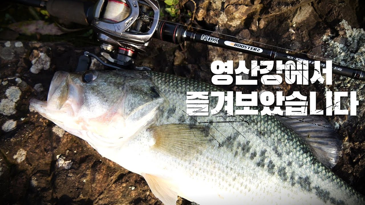 [피싱로그99.9] #188회 영산강 배스낚시 짠내투어