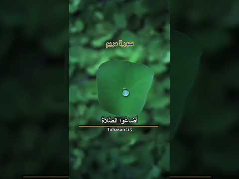 فخلف من بعدهم خلف أضاعوا الصلاة
