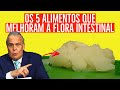 Aumentar a imunidade. Os 5 alimentos que melhoram a flora [microbiota] intestinal - Dr. Lair Ribeiro