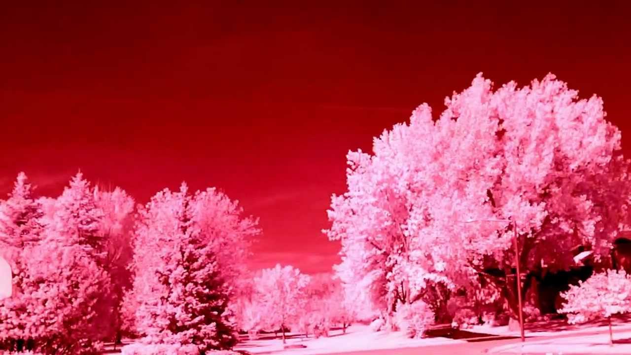 Moditronic Deep Infrared Camcorder (Paranormal & UFO's) Ghost Hunting Gear