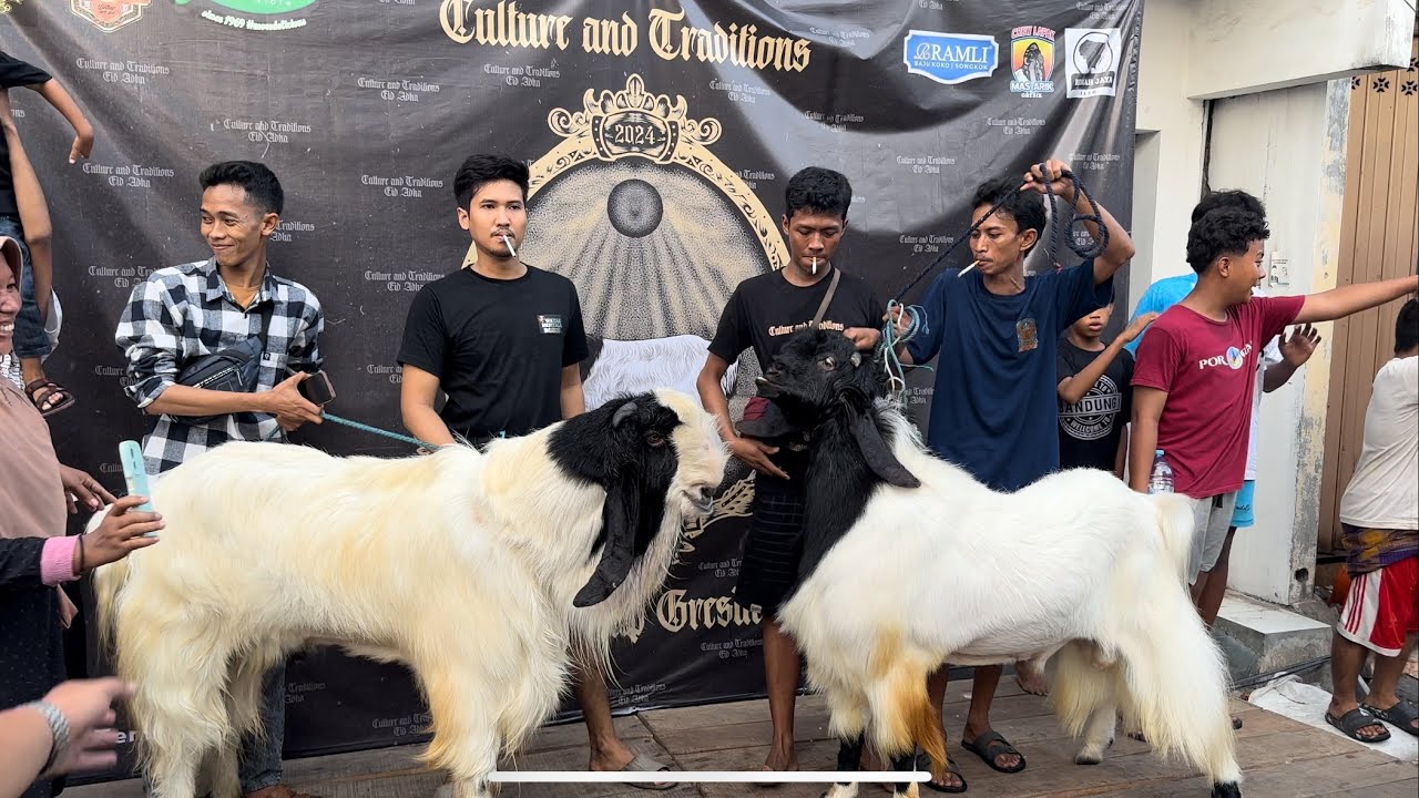 Tradisi arakan masyarakat kalitutup gresik