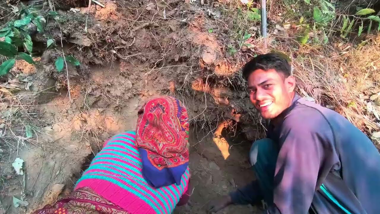 Jangali Tedu nikalne jangal me