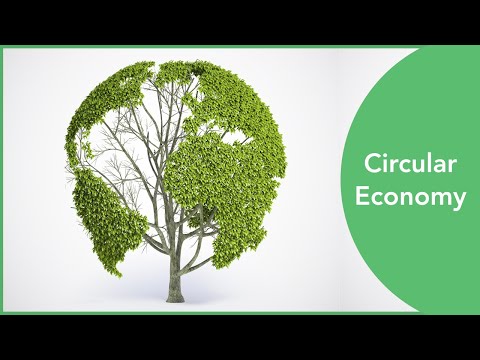 Circular Economy Explained