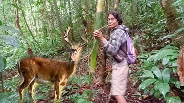 BARBEQUE DAGING RUSA l HIDANGAN MAKAN MALAM ALA EROPA VERSI CHEF KAMPUNG