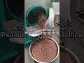 Commercial Nut Roasting Machine | Automatic Almond &amp; Peanut Roaster for Business