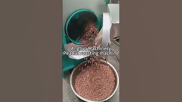 Commercial Nut Roasting Machine | Automatic Almond & Peanut Roaster for Business