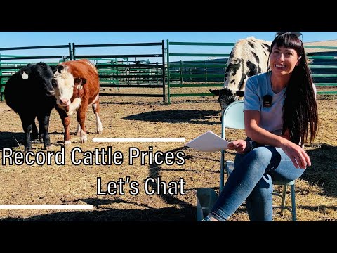 Why Beef Prices Are So High From a Rancher's Perspective