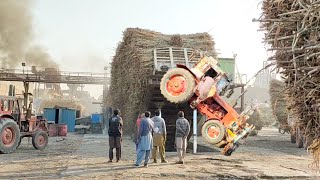 power show Belarus tractor 800 pull sugarcane loaded trailer unloading sugar Mill