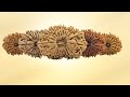 Rudraksha ke vishya me kuchh voshesh jankari, aur Grah? #live #viralvideo #video #kundali #astrlogy