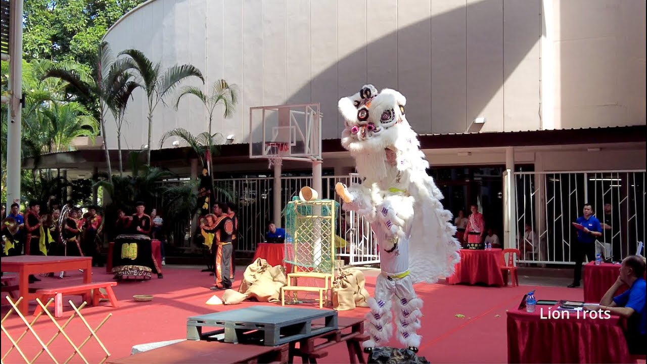 [4K] Kuan Tiong Tuan 关忠坛 at 28th Ngee Ann City Lion Dance Championship Preliminary on 20 Jul 2024