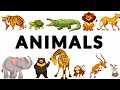 Animals name |English Vocabulary | Animals for kids | learn animals in English