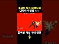 랄프 대령님의 진심 펀치 #shorts