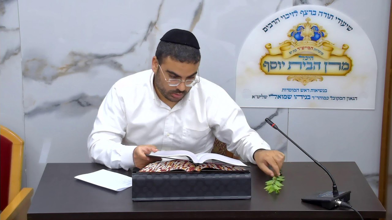 קניה מהודרת של המינים - הדס ולולב