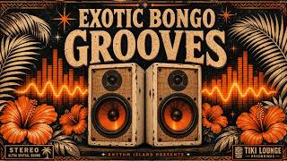 1950s Bongo Fever Exotica 🌴 'The Hidden Waterfall' | Tiki Lounge Instrumental Jazz 1950s Bongo Fever Exotica 🌴 'The Hidden Waterfall' | Tiki Lounge Instrumental Jazz