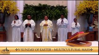 V Sunday of Easter