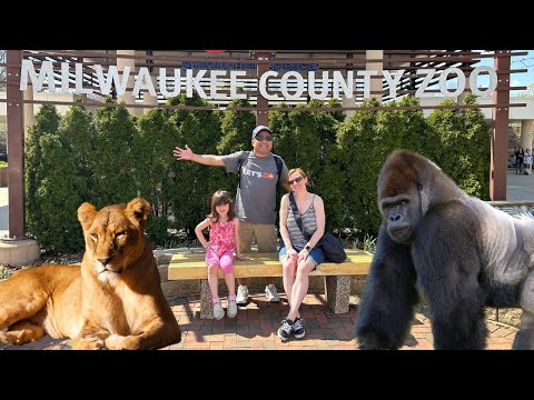 Video: Zoo tshaj Milwaukeean Instagram Accounts