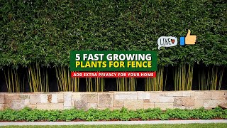Extra Privacy Ideas: 5 Fast Growing Plants for Fence 👍👌 screenshot 1