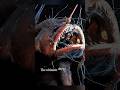 5 Rarest Deep Sea Creatures Ever Caught on Camera