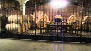 Bodega David Moreno [Badarán, La Rioja 6.2.12]