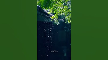 حالات واتس اب قران كريم Whatsapp cases Holy Quran