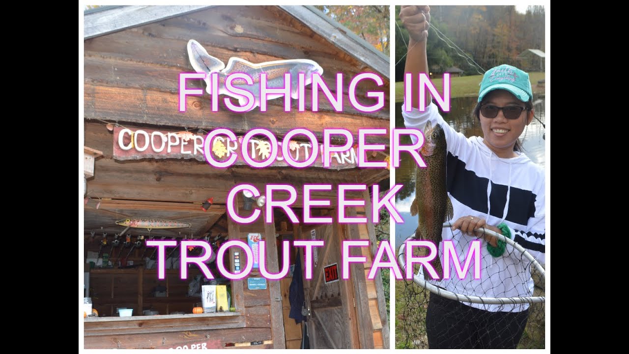 THE BEST TROUT FARM IN BETWEEN NORTH CAROLINA AND TENNESSEE COOPER
