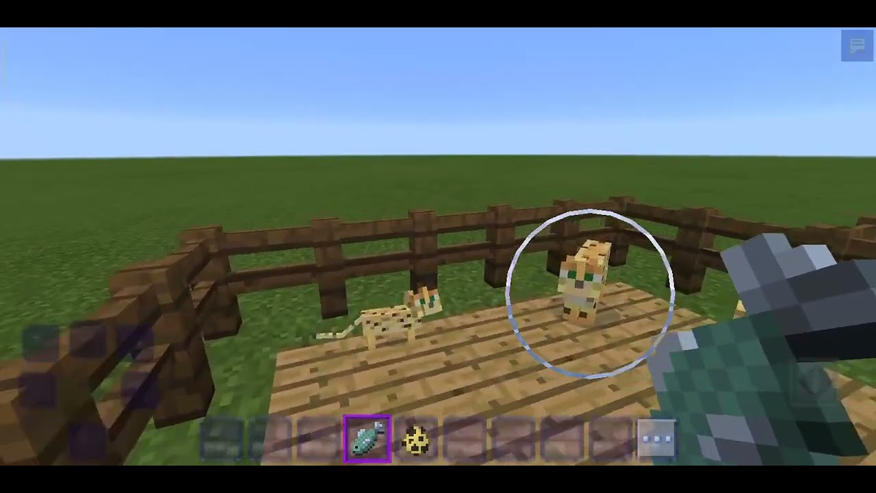 ako si ochocit mačku v minecrafte - YouTube