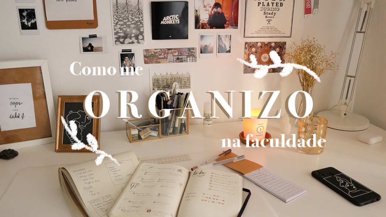 COMO ME ORGANIZO NA FACULDADE ✨ | Back to School