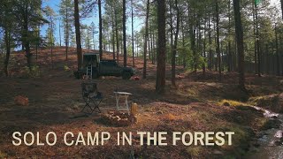 Solo Truck Camping in the Forest | Campfire Cooking in Nature