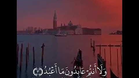 ماهر المعيقلى♥️🥰 تلاوة عطرة💫 ♥️حالات واتساب دينية|| سورة الكافرون