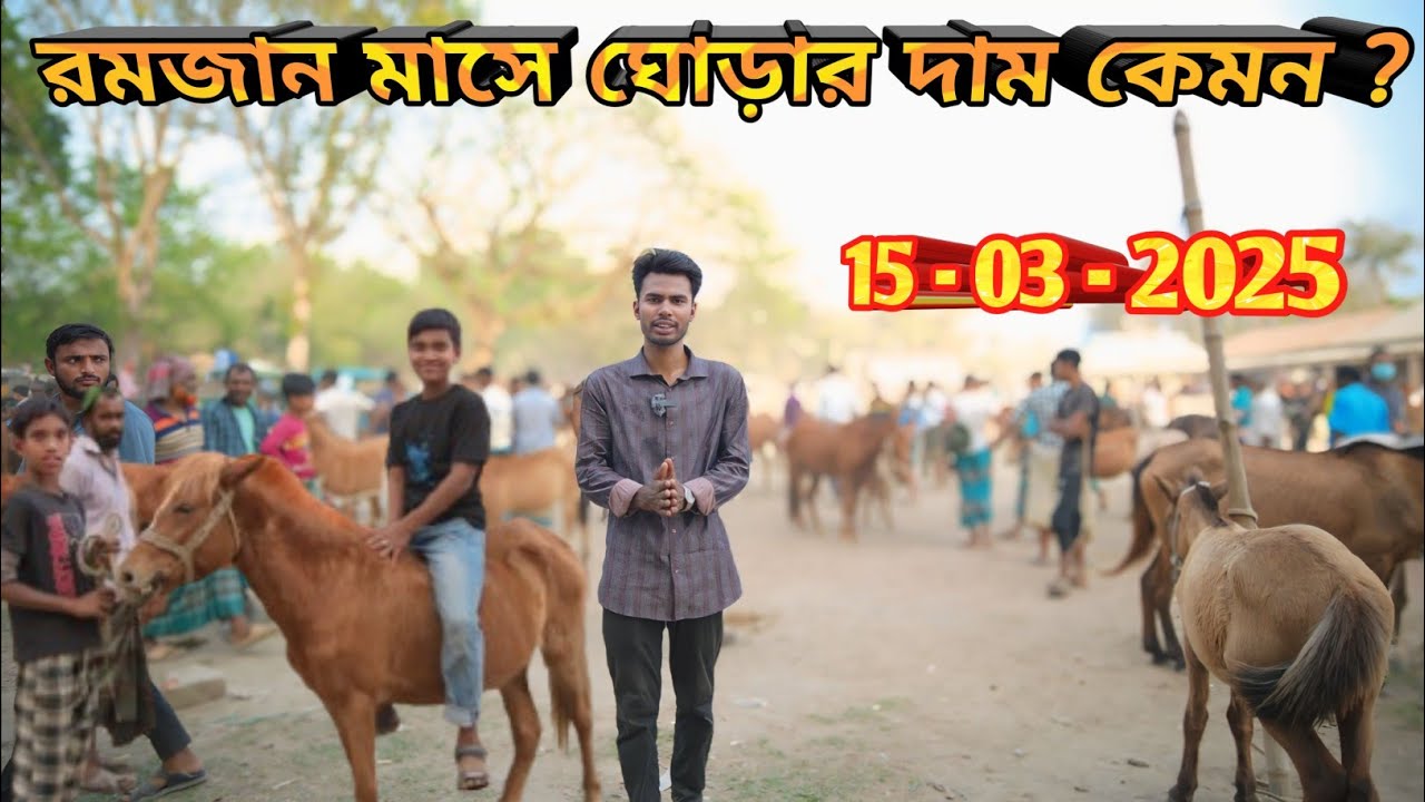 কি আজব কান্ড ৮০০ টাকায় ঘোড়া | রমজান মাসে ঘোড়ার দাম কেমন | ২০২৫ জামালপুর তুলসীপুর ঘোড়ারহাট।