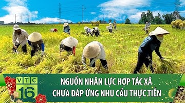 Nguồn nhân lực Hợp tác xã chưa đáp ứng nhu cầu thực tiễn | VTC16