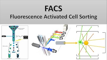 The Principle of Flow Cytometry and FACS (2- FACS: Fluorescence Activated Cell Sorting)