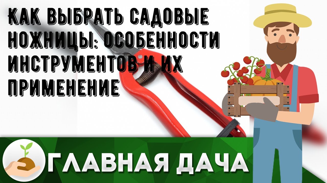 Как выбрать садовые ножницы: особенности инструментов и их применение