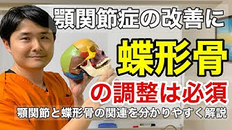 蝶形骨 Youtube 蝶形骨 Youtube