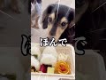 なんかおかしいお弁当箱のうた。
